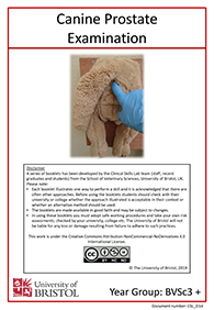 clinical skills instruction booklet cover page, Canine Prostate Examination